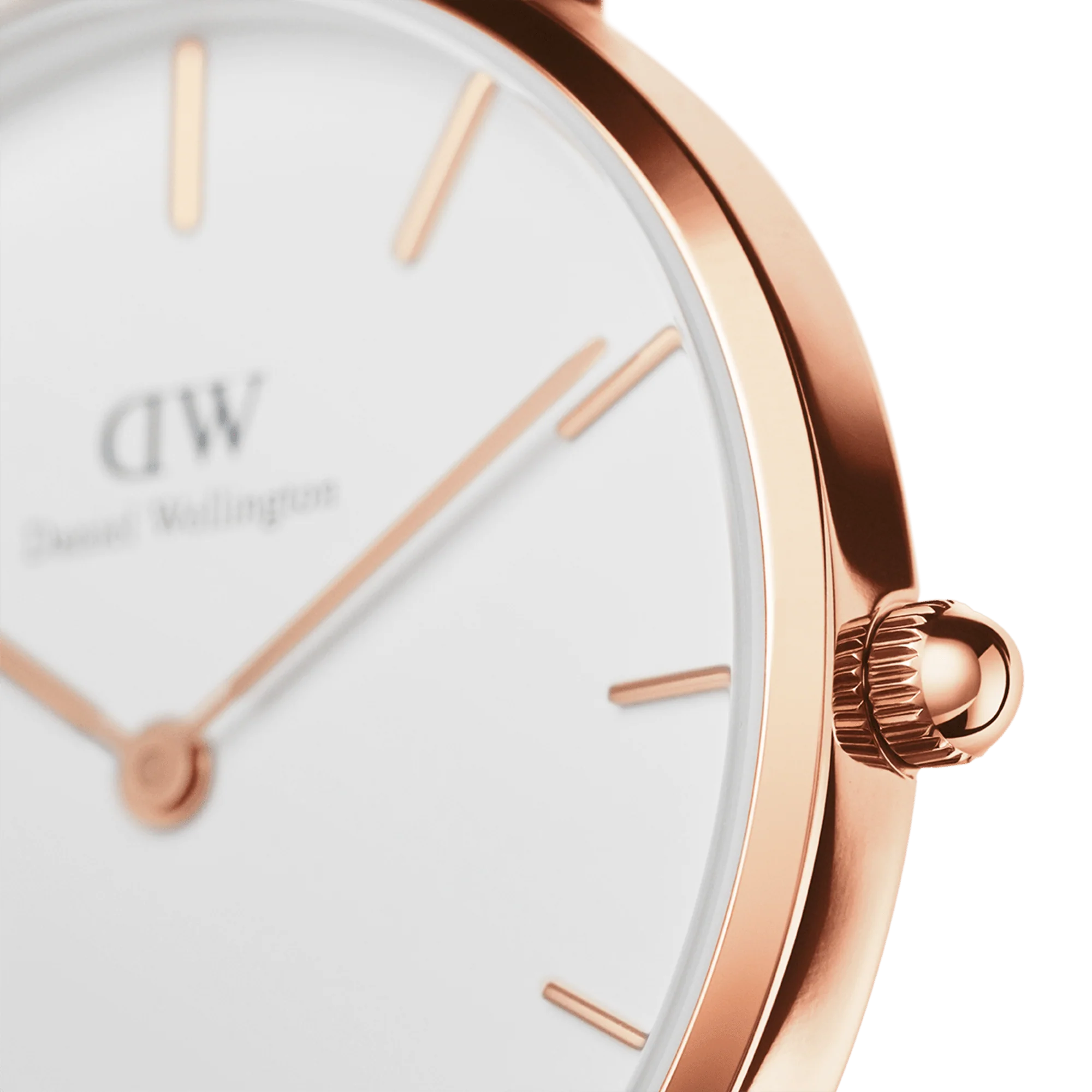 Daniel Wellington Petite St Mawes Ladies White Watch - Image 3