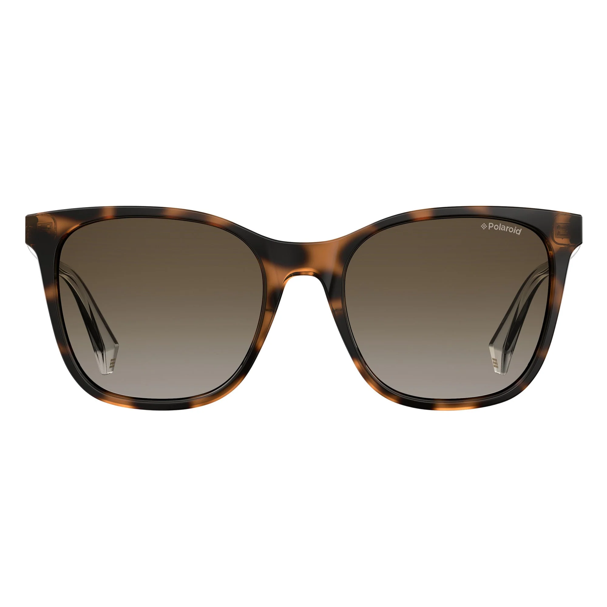 Polaroid PLD 4059/S 086 53LA (PLD74) Unisex Havanna Sunglasses - Image 2