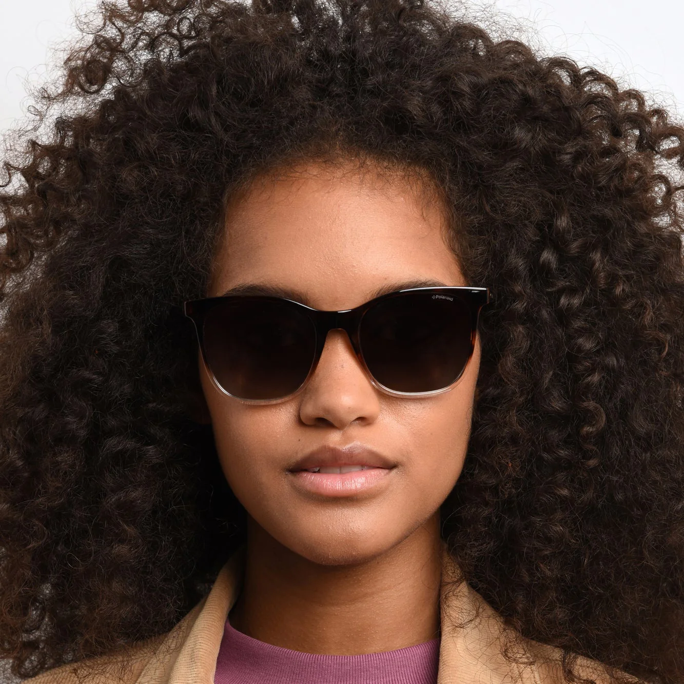 Polaroid PLD 4059/S 086 53LA (PLD74) Unisex Havanna Sunglasses - Image 5
