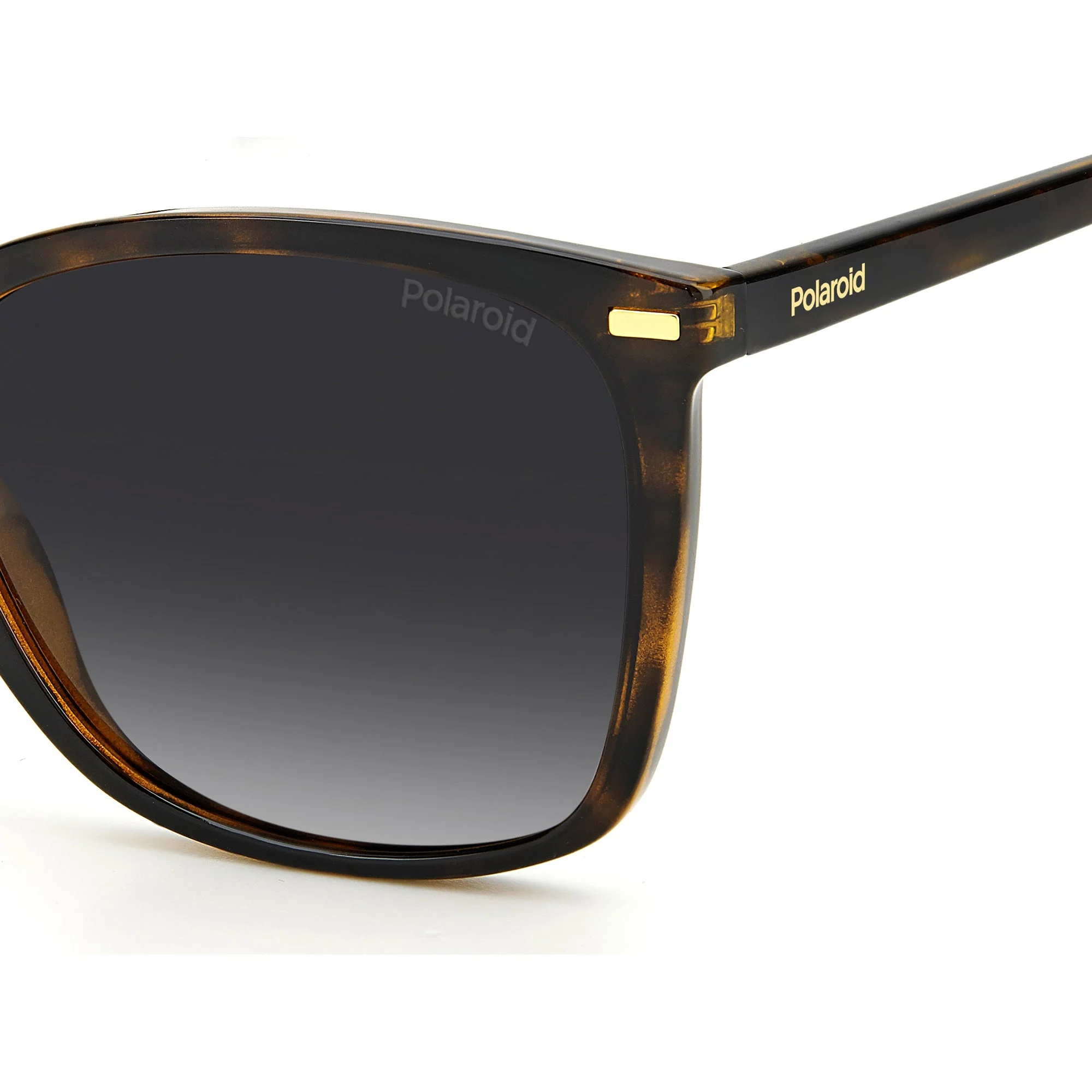 Polaroid PLD 4108/S 086 55LA(PLD62) Women's Hvn Sunglasses - Image 5