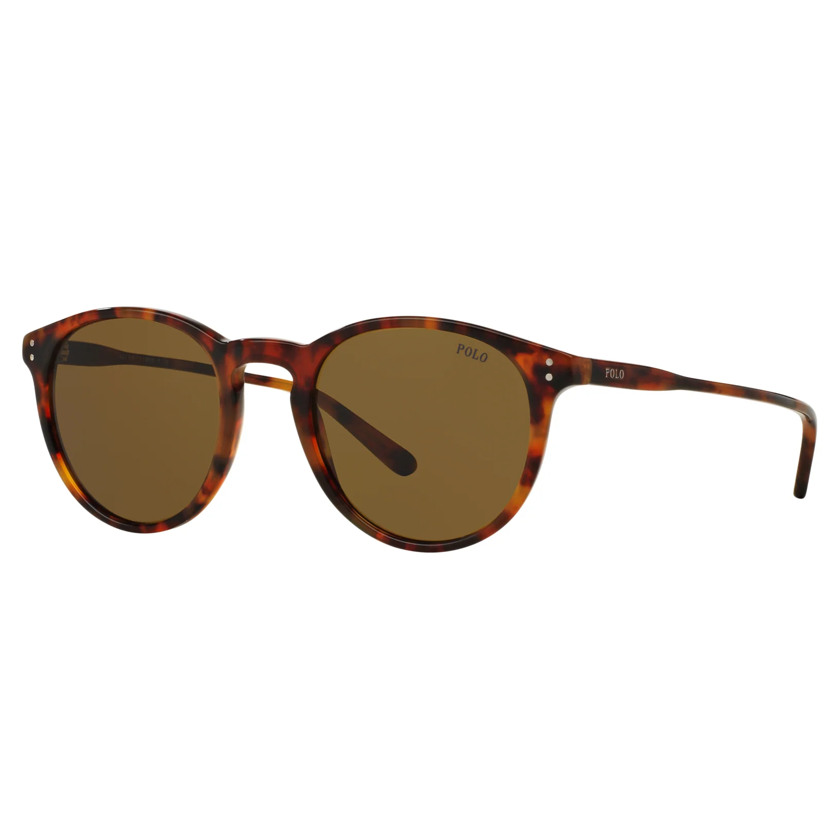 Polo Ralph Lauren (POL15) Men's Shiny Havana Jerry Sunglasses