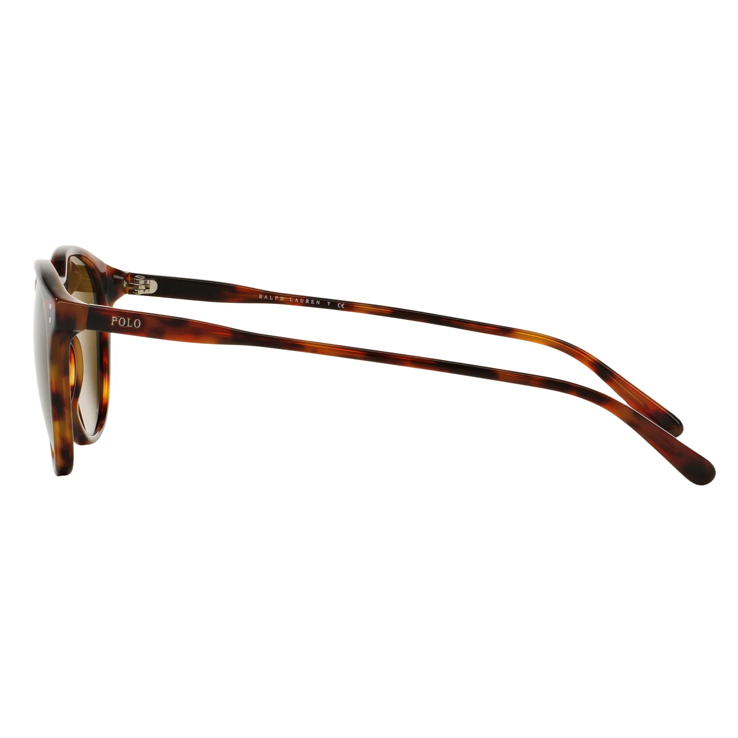 Polo Ralph Lauren (POL15) Men's Shiny Havana Jerry Sunglasses - Image 4