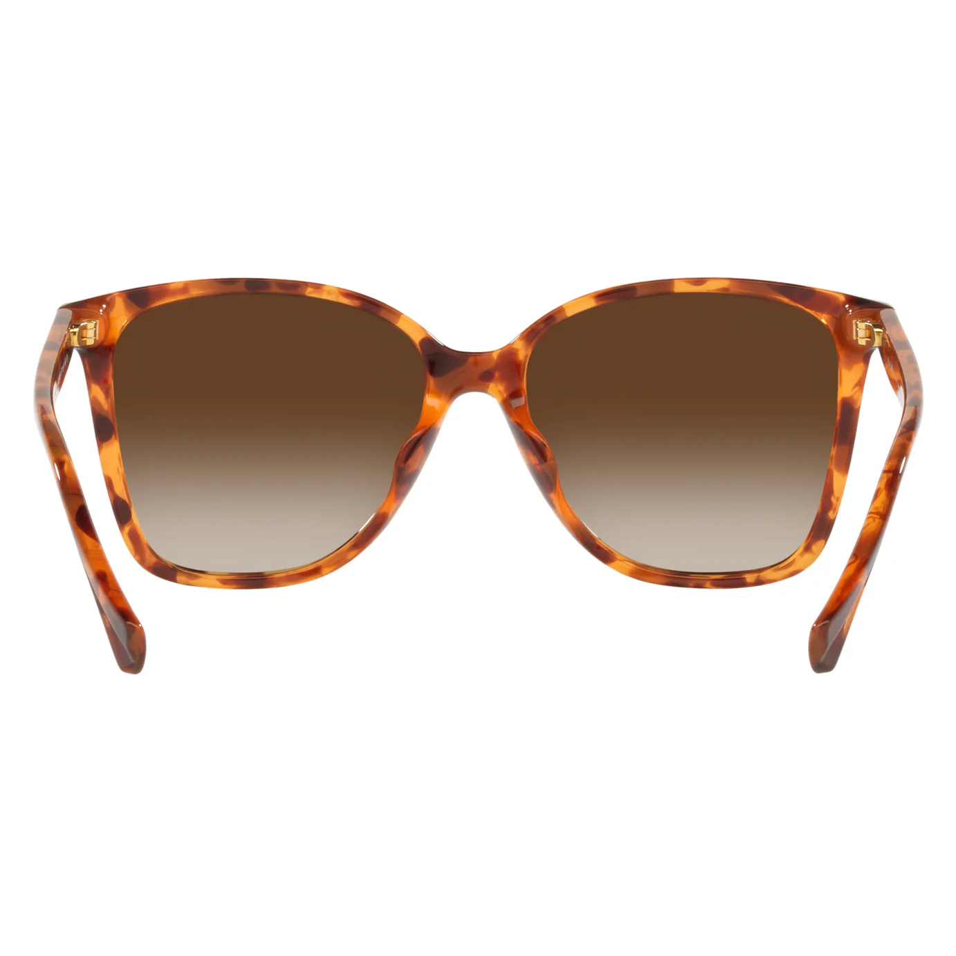 Ralph by Ralph Lauren (RL13) Women's Shiny Havana Sunglasses - Image 4