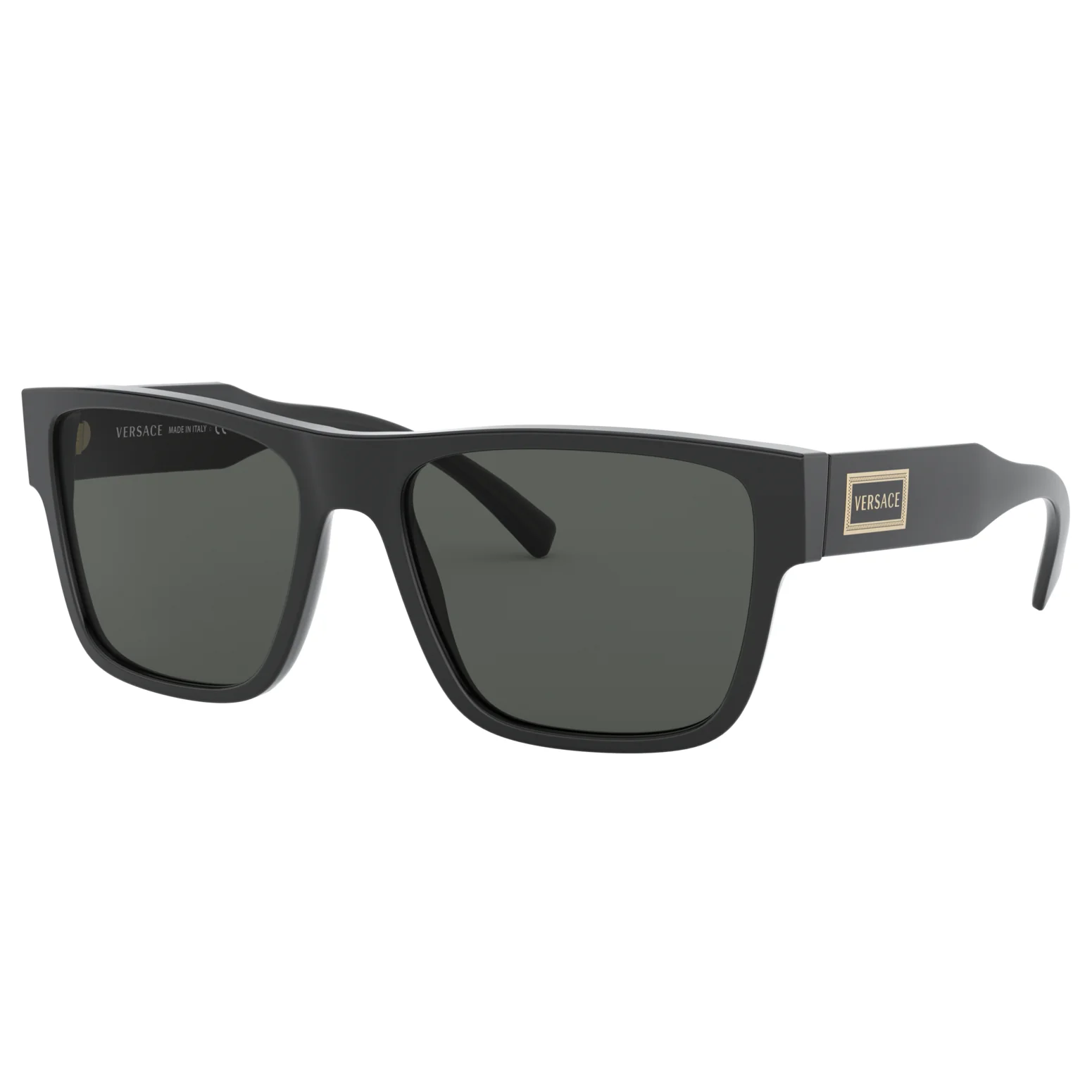 Versace (VER16) Men's Black Sunglasses